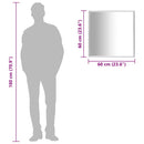 vidaXL ezüstszínű tükör 60 x 60 cm