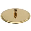 vidaXL aranyszínű kerek rozsdamentes acél esőztető zuhanyrózsa 25 cm