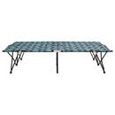 vidaXL kétszemélyes levélmintás összecsukható acél napozóágy