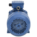 vidaXL 2 pólusú 3 fázisú alumínium elektromos motor 4kW/5,5LE 2840 f/p