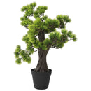 vidaXL zöld cserepes mű fenyőbonsai 60 cm