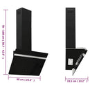 vidaXL fekete acél és edzett üveg fali páraelszívó 60 cm