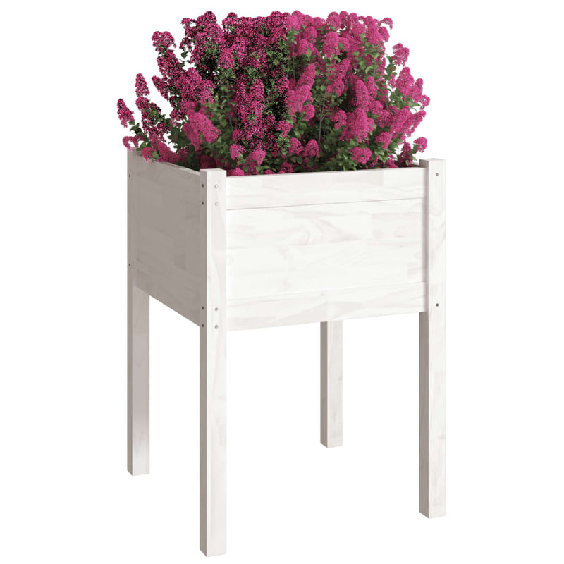 vidaXL 2 db fehér tömör fenyőfa kerti virágtartó 50 x 50 x 70 cm