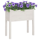 vidaXL 2 db fehér tömör fenyőfa kerti virágtartó 70 x 31 x 70 cm