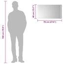 vidaXL LED-es fürdőszobatükör 70x40 cm