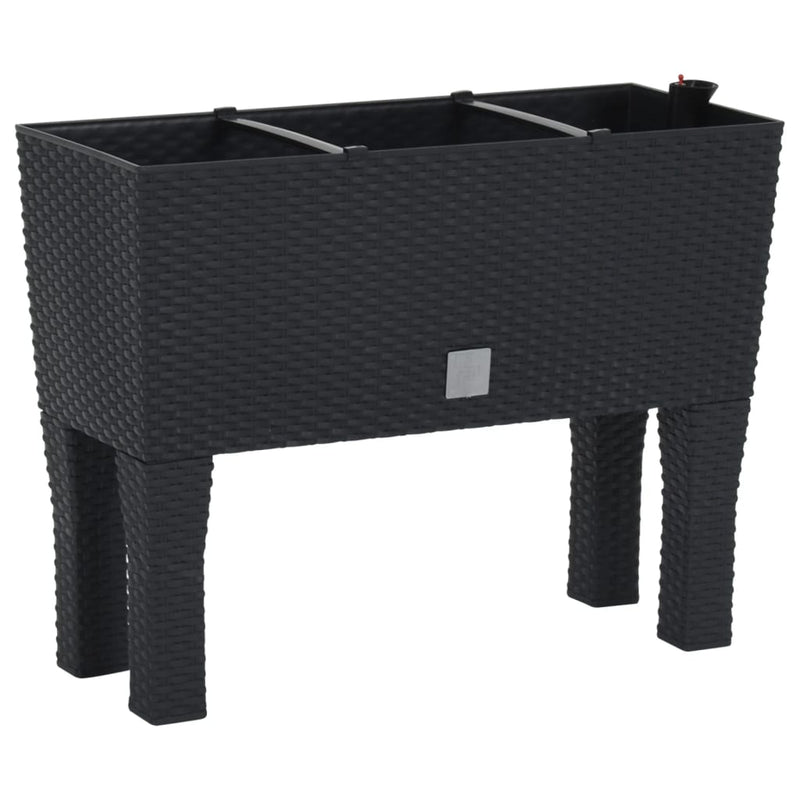 vidaXL antracitszürke polipropilén rattan kerti magaságyás 60x25x46 cm