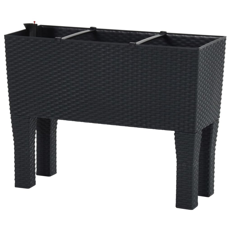 vidaXL antracitszürke polipropilén rattan kerti magaságyás 60x25x46 cm