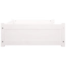 vidaXL fehér tömör fenyőfa kutyaágy 95,5x65,5x28 cm