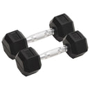 vidaXL 2 db összesen öntöttvas egykezes súlyzó 10 kg
