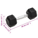 vidaXL 2 db összesen öntöttvas egykezes súlyzó 10 kg