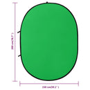 vidaXL zöld és kék 2 az 1-ben ovális stúdió háttérvászon 200x150 cm
