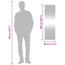 vidaXL téglalap alakú üveg falitükör 30 x 100 cm