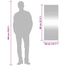 vidaXL téglalap alakú üveg falitükör 40 x 100 cm