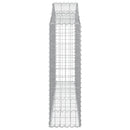 vidaXL 10 db íves horganyzott vas gabion kosár 200x30x100/120 cm