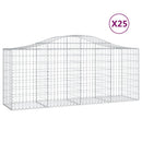 vidaXL 25 db íves horganyzott vas gabion kosár 200x50x80/100 cm