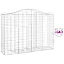 vidaXL 40 db íves horganyzott vas gabion kosár 200x50x140/160 cm