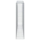 vidaXL 2 db íves horganyzott vas gabion kosár 400x50x220/240 cm