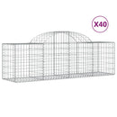 vidaXL 40 db íves horganyzott vas gabion kosár 200x50x60/80 cm