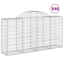 vidaXL 40 db íves horganyzott vas gabion kosár 200x50x100/120 cm