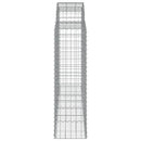 vidaXL 2 db íves horganyzott vas gabion kosár 200x50x140/160 cm