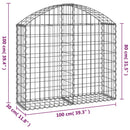 vidaXL íves horganyzott vas gabion kosár 100x30x80/100 cm