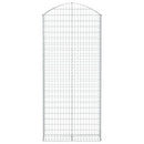 vidaXL íves horganyzott vas gabion kosár 100x30x220/240 cm