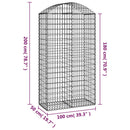 vidaXL íves horganyzott vas gabion kosár 100x50x180/200 cm