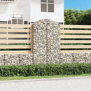 vidaXL íves horganyzott vas gabion kosár 100x50x180/200 cm