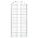vidaXL íves horganyzott vas gabion kosár 100x50x200/220 cm