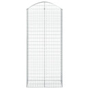 vidaXL íves horganyzott vas gabion kosár 100x50x220/240 cm