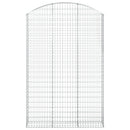 vidaXL íves horganyzott vas gabion kosár 150x30x220/240 cm
