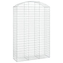 vidaXL íves horganyzott vas gabion kosár 150x50x220/240 cm