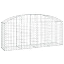 vidaXL íves horganyzott vas gabion kosár 200x50x80/100 cm