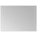 vidaXL LED-es fürdőszobatükör 50 x 70 cm