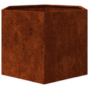 vidaXL rozsda színű corten acél növénytartó 60 x 60 x 45 cm