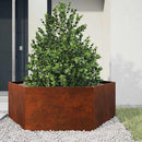 vidaXL rozsda színű corten acél növénytartó 138x120x45 cm
