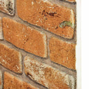 vidaXL Fali panelek 10 pcs Tégla 100 x 50 cm EPS Hab