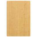 vidaXL bambusz asztallap 60 x 100 x 2,5 cm