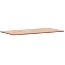 vidaXL tömör bükkfa téglalap alakú asztallap 100x50x1,5 cm