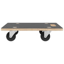 vidaXL 2 db négyszögletű szállítókocsi 250 kg 50 x 35 x 11,5 cm