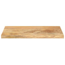vidaXL tömör mangófa téglalap alakú asztallap 40x30x2,5 cm