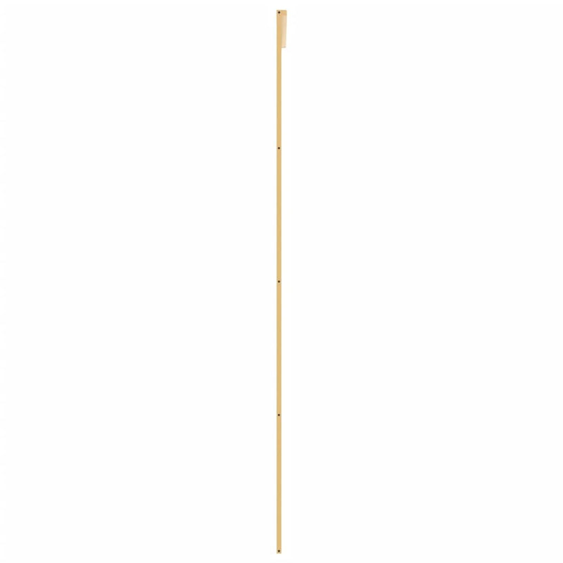 vidaXL aranyszínű átlátszó ESG üveg és alumínium tolóajtó 102,5x205 cm
