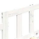 vidaXL fehér tömör fenyőfa kanapéágy matrac nélkül 80 x 200 cm