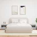 vidaXL 2 db betonszürke éjjeliszekrény LED-fényekkel 50x40x45 cm