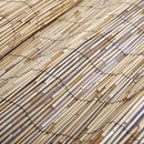 vidaXL nád kerti kerítés 600 x 100 cm