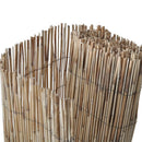 vidaXL nád kerti kerítés 600 x 80 cm