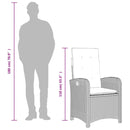 vidaXL szürke polyrattan dönthető kerti szék párnákkal