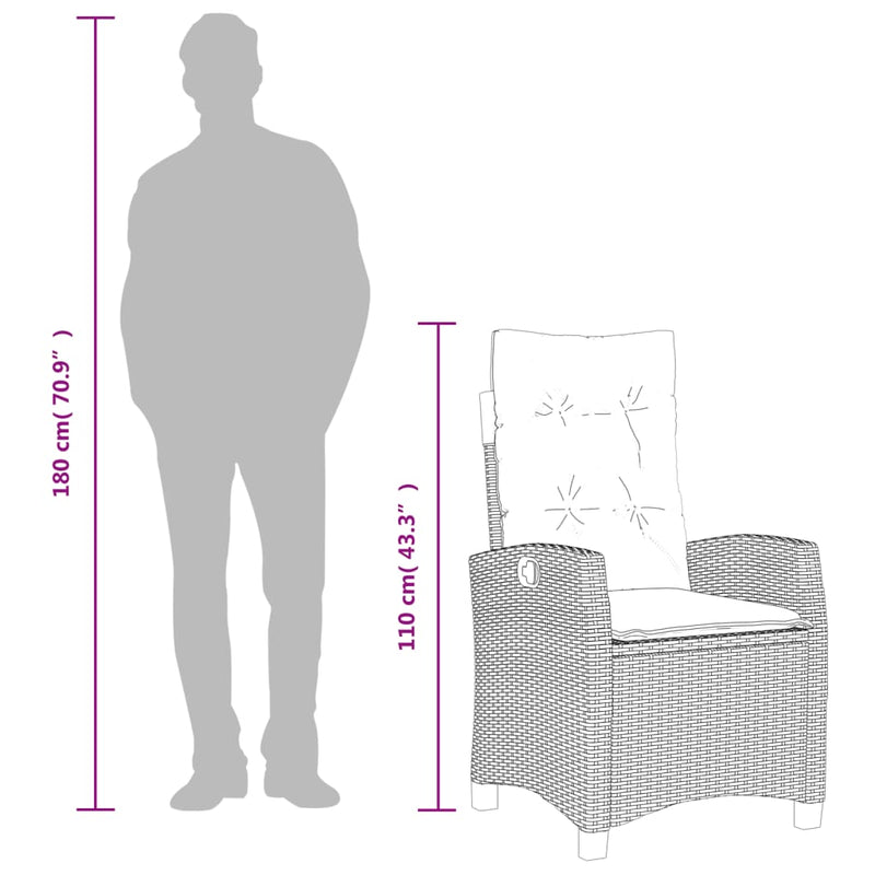 vidaXL bézs polyrattan dönthető kerti szék párnákkal