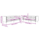 vidaXL 2 részes rózsaszín bársony Chesterfield kanapészett párnákkal