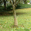 vidaXL juta tekercs 0,25 x 5 m 100% juta 200 gsm